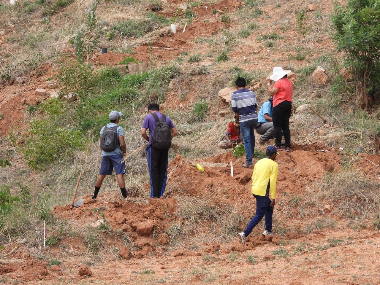 Volunteers surveying and clearing a dry hillside plot at TVC.