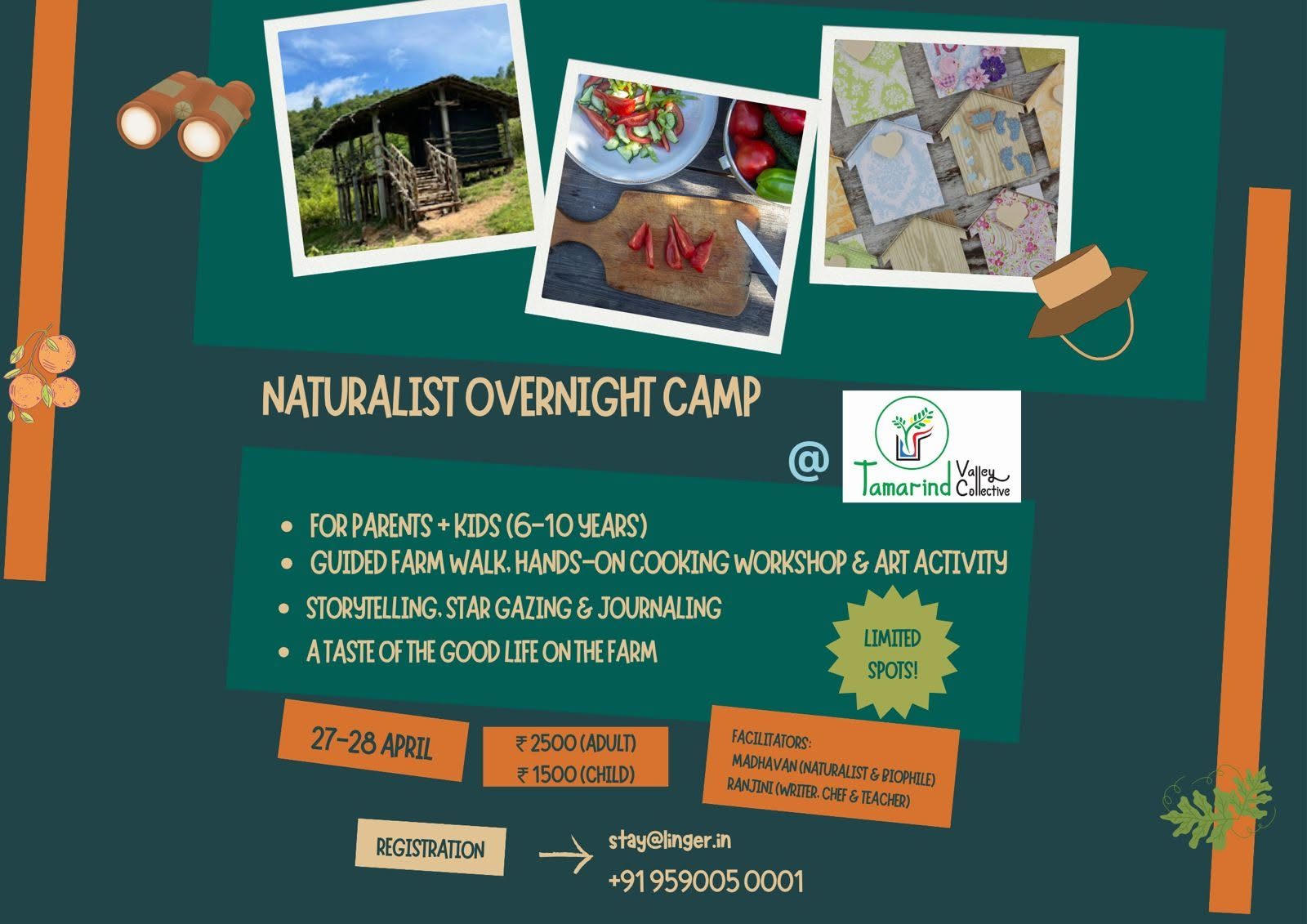 Young Naturalist Overnight Camp poster collage: a farm hut, a cooking activity with vegetables, and a craft table with decorated birdhouses.