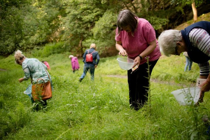 A group foraging walk through the property's greenery