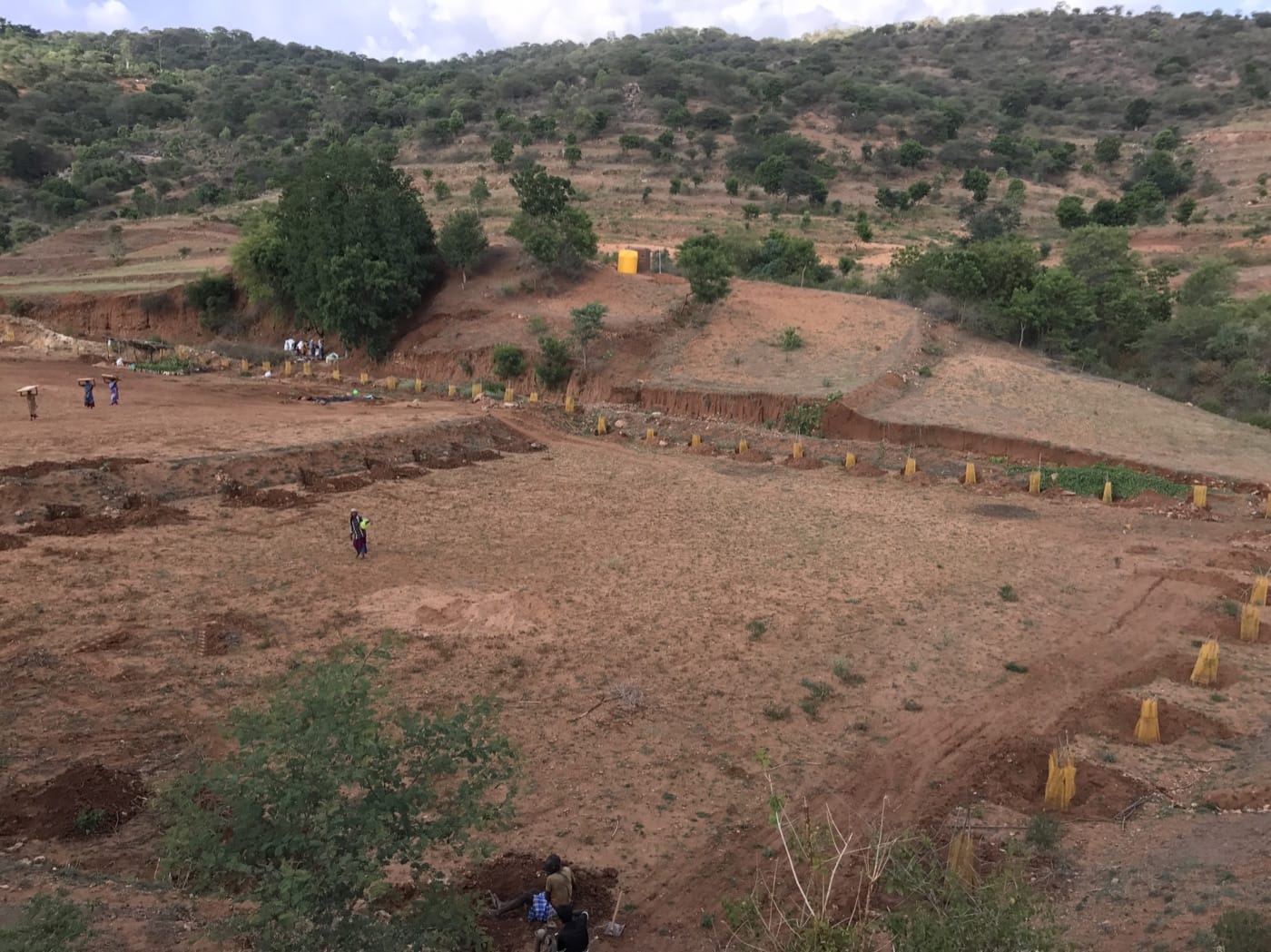 Planting began in the Kaveri plot, a small section set aside for trees. Biome Environmental Solutions joined as home-design architects, and Ananas as our permaculture design consultants.