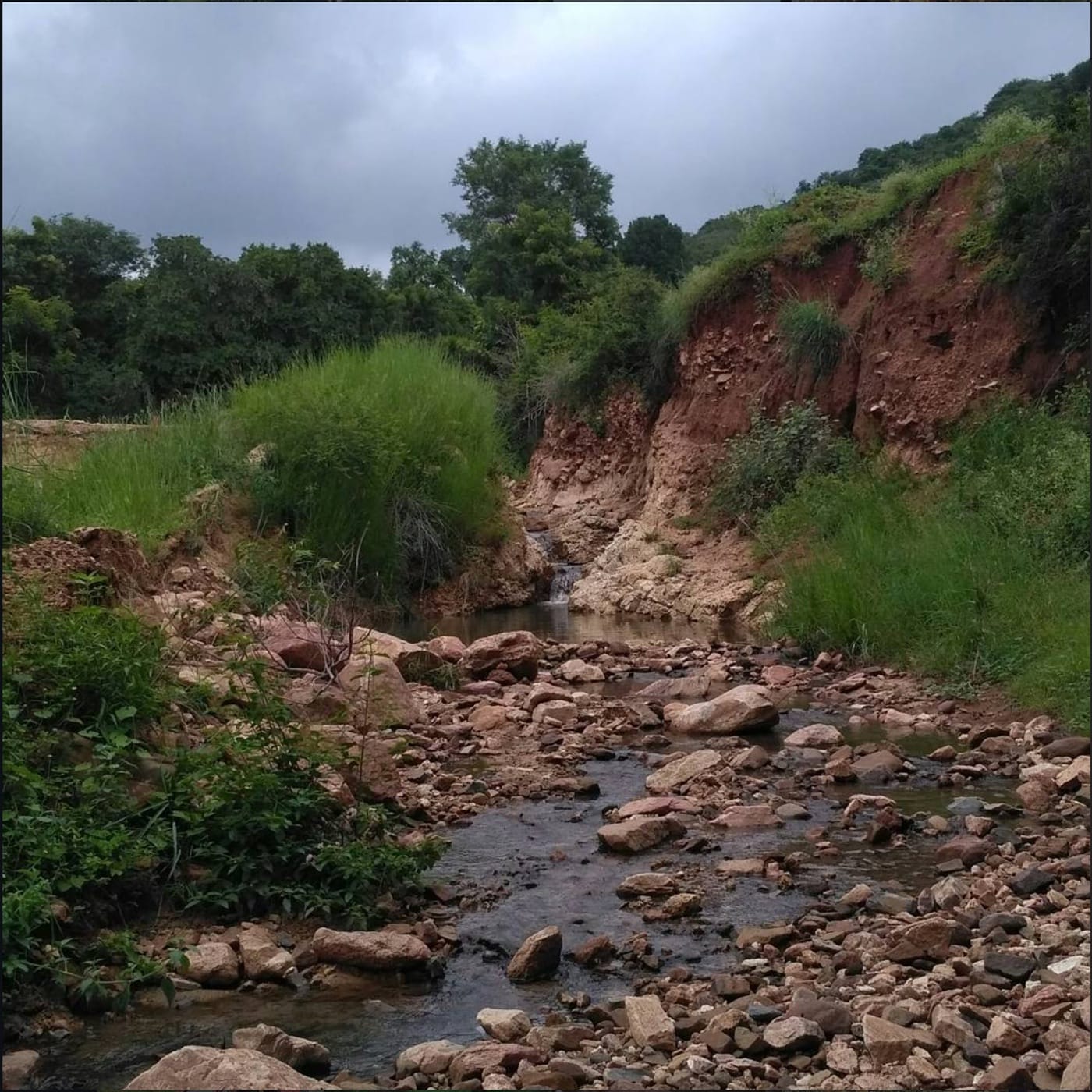 An unusually heavy north-east monsoon washed away the June earthwork and much of what had been planted. Nearby stations logged 20–40mm of rain within single 24-hour periods.
