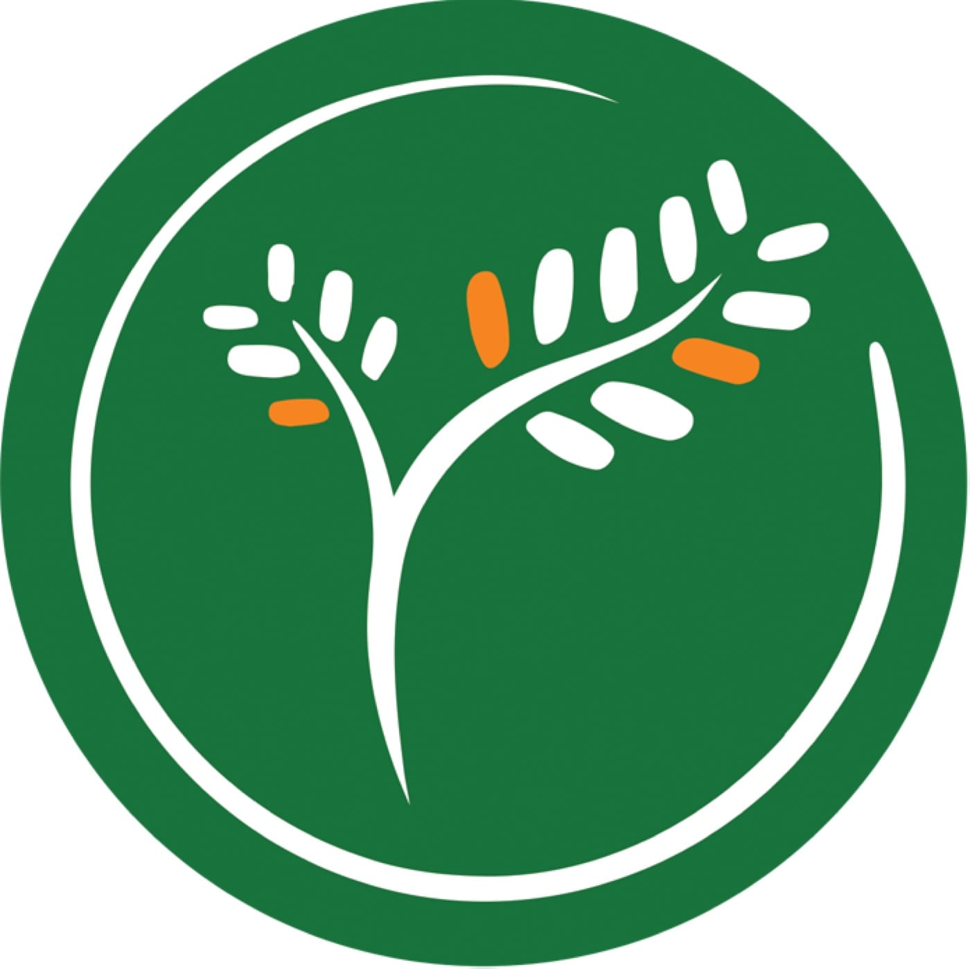 Our current logo was finalized.