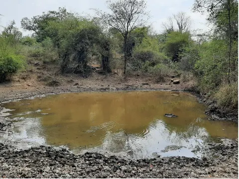 TVC's watering hole, fed by harvested rainwater