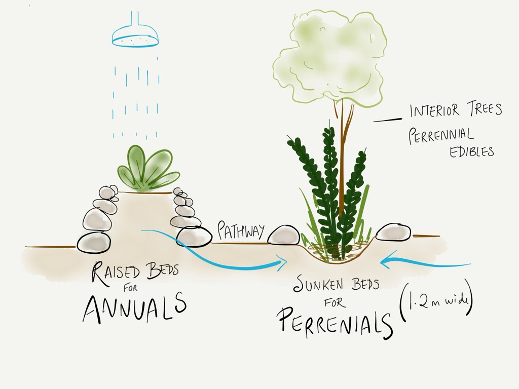 Diagram of alternating raised beds for annuals and sunken beds for perennials, with interior trees and a pathway between them