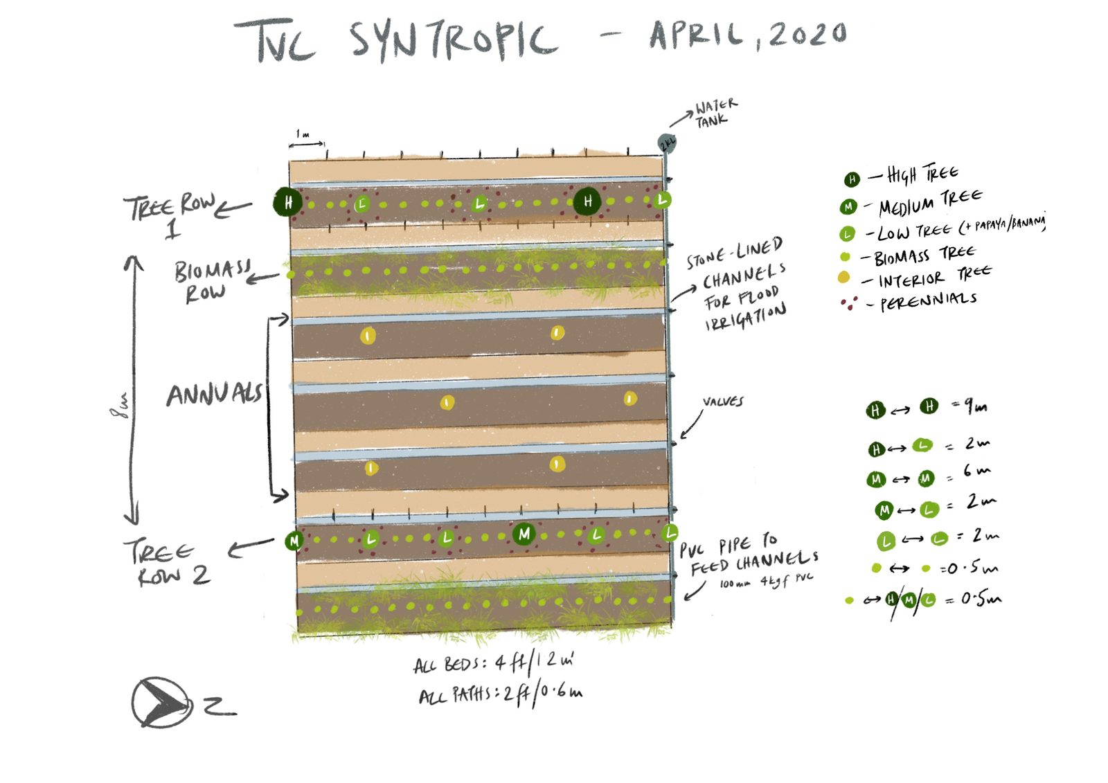 TVC Syntropic bed design from April 2020, showing alternating tree rows, biomass rows, and annual beds with irrigation channels